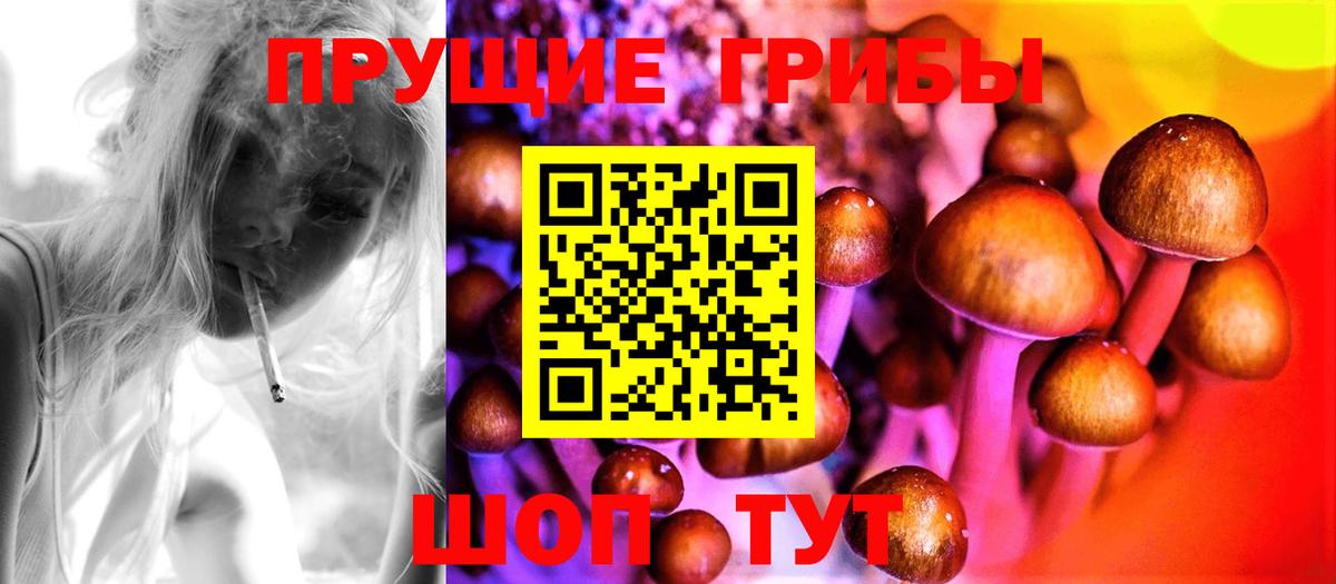 Галлюциногенные грибы мухоморы Апатиты
